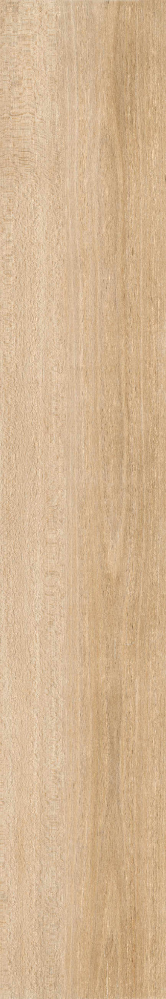 Aria Miele 20
